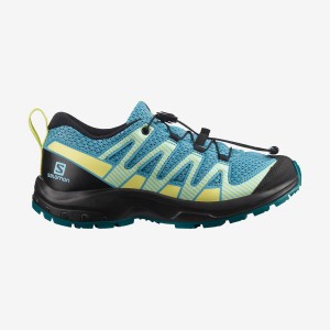 Zapatillas de Senderismo Salomon XA PRO V8 Niños Azules | EC3581KOR